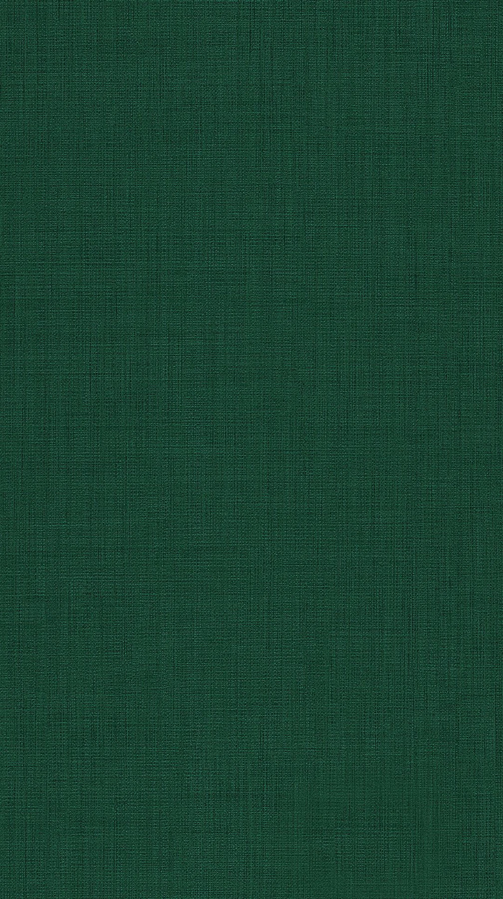 MBF-004